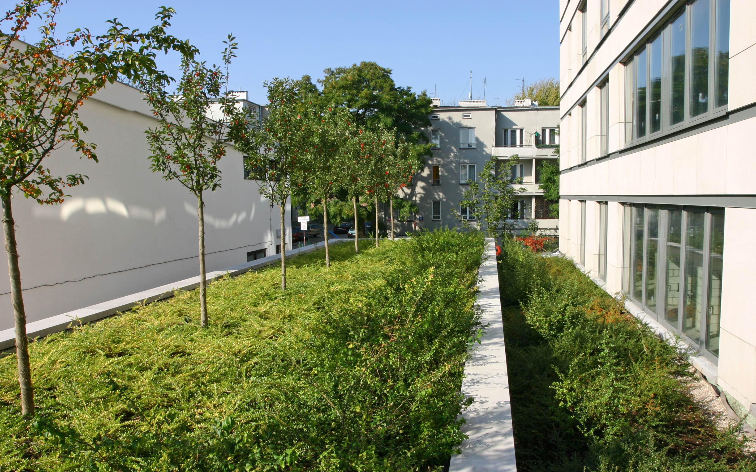 Green roof with small trees